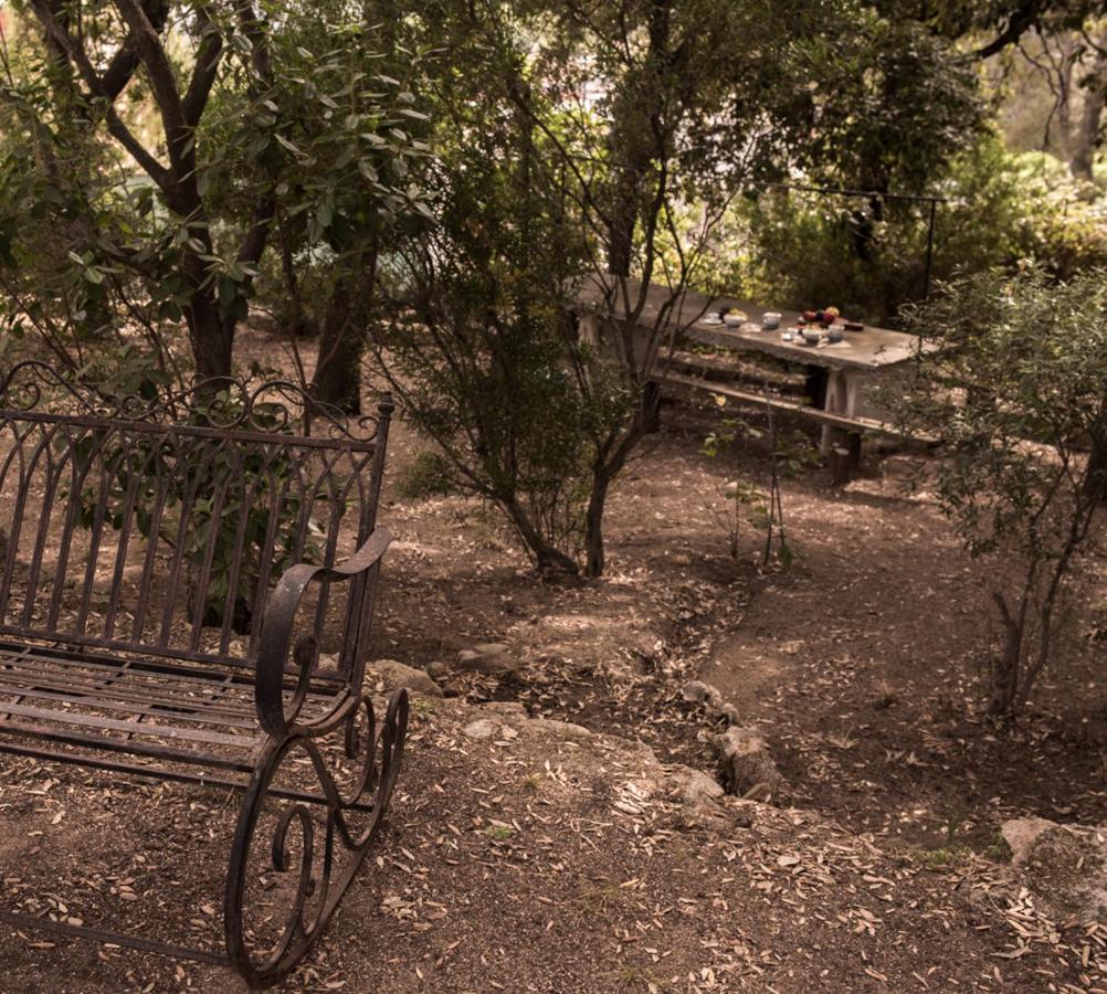 Nel Giardino Dei Pesci Volanti Villa San Pantaleo Eksteriør bilde